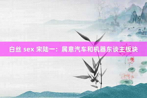 白丝 sex 宋陆一：属意汽车和机器东谈主板块