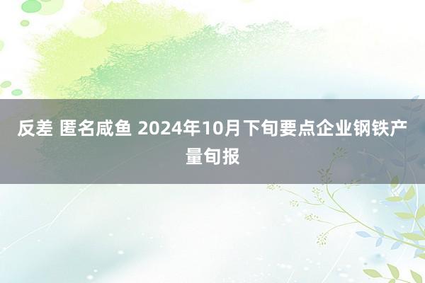 反差 匿名咸鱼 2024年10月下旬要点企业钢铁产量旬报