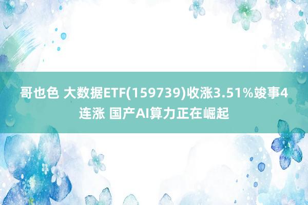 哥也色 大数据ETF(159739)收涨3.51%竣事4连涨 国产AI算力正在崛起