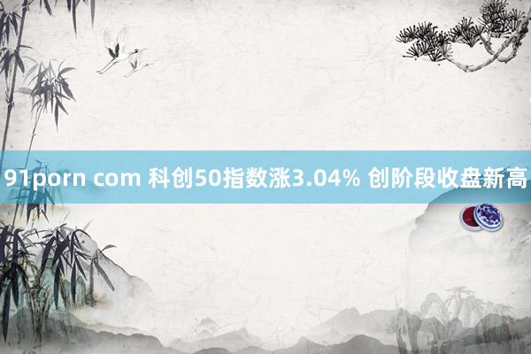 91porn com 科创50指数涨3.04% 创阶段收盘新高