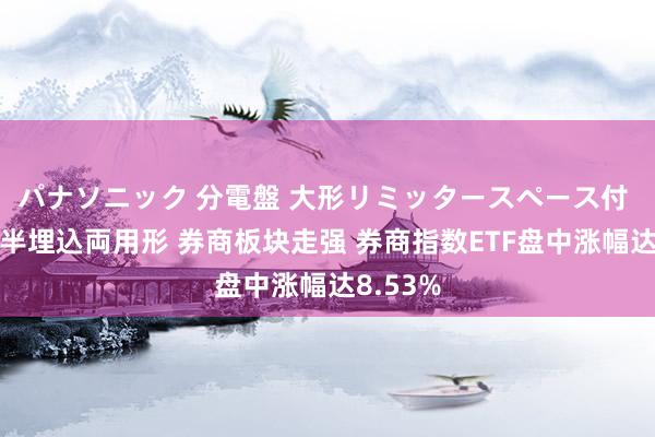 パナソニック 分電盤 大形リミッタースペース付 露出・半埋込両用形 券商板块走强 券商指数ETF盘中涨幅达8.53%