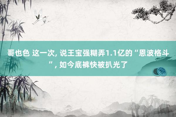 哥也色 这一次， 说王宝强糊弄1.1亿的“恩波格斗”， 如今底裤快被扒光了