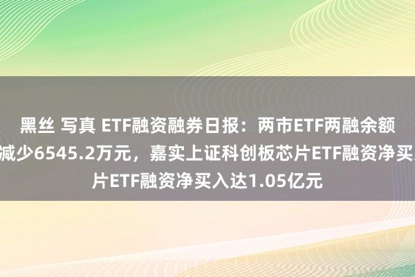 黑丝 写真 ETF融资融券日报：两市ETF两融余额较前一往异日减少6545.2万元，嘉实上证科创板芯片ETF融资净买入达1.05亿元