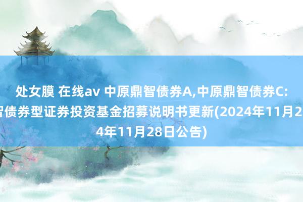 处女膜 在线av 中原鼎智债券A，中原鼎智债券C: 中原鼎智债券型证券投资基金招募说明书更新(2024年11月28日公告)