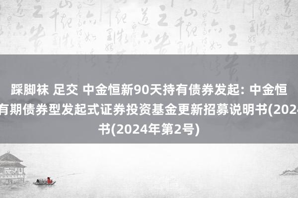 踩脚袜 足交 中金恒新90天持有债券发起: 中金恒新90天持有期债券型发起式证券投资基金更新招募说明书(2024年第2号)