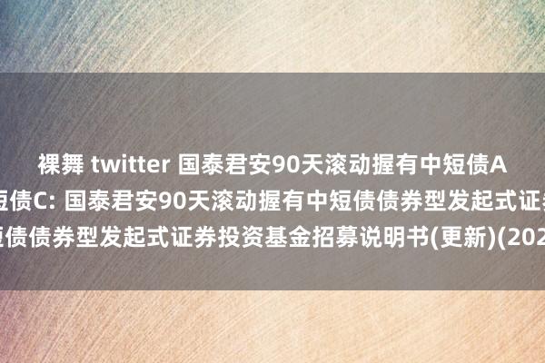 裸舞 twitter 国泰君安90天滚动握有中短债A，国泰君安90天滚动握有中短债C: 国泰君安90天滚动握有中短债债券型发起式证券投资基金招募说明书(更新)(2024年第1号)