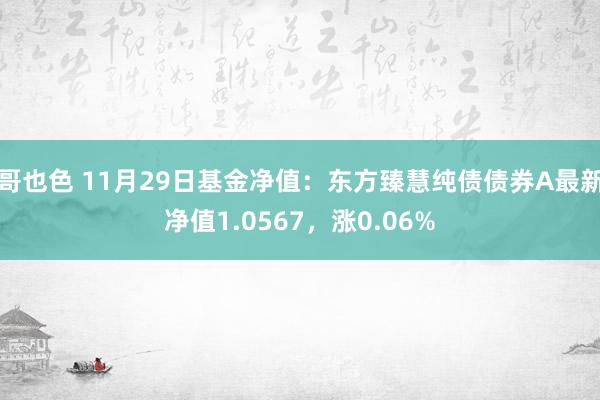 哥也色 11月29日基金净值：东方臻慧纯债债券A最新净值1.0567，涨0.06%