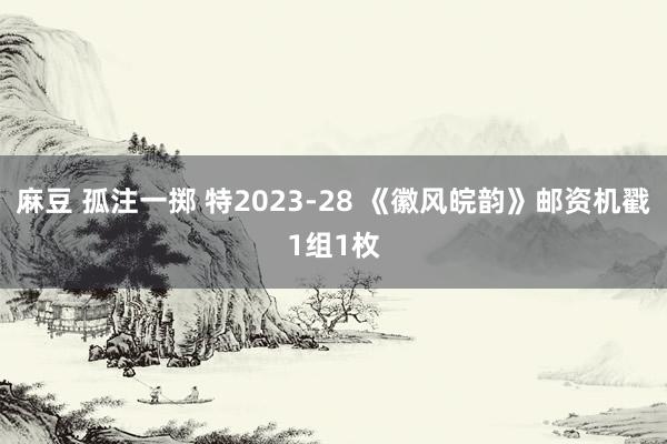 麻豆 孤注一掷 特2023-28 《徽风皖韵》邮资机戳1组1枚