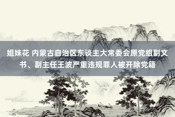 姐妹花 内蒙古自治区东谈主大常委会原党组副文书、副主任王波严重违规罪人被开除党籍