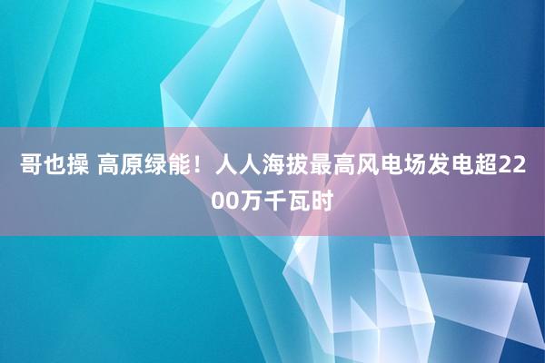 哥也操 高原绿能！人人海拔最高风电场发电超2200万千瓦时