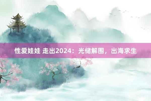 性爱娃娃 走出2024：光储解围，出海求生