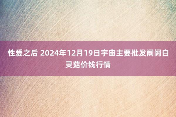 性爱之后 2024年12月19日宇宙主要批发阛阓白灵菇价钱行情