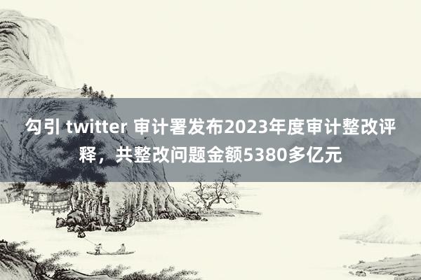 勾引 twitter 审计署发布2023年度审计整改评释，共整改问题金额5380多亿元