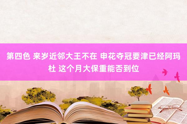 第四色 来岁近邻大王不在 申花夺冠要津已经阿玛杜 这个月大保重能否到位