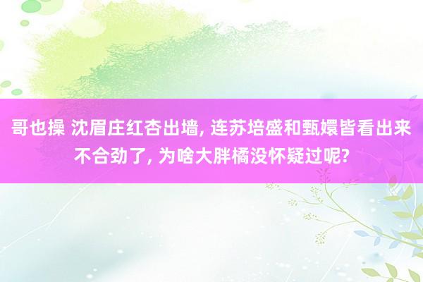 哥也操 沈眉庄红杏出墙， 连苏培盛和甄嬛皆看出来不合劲了， 为啥大胖橘没怀疑过呢?