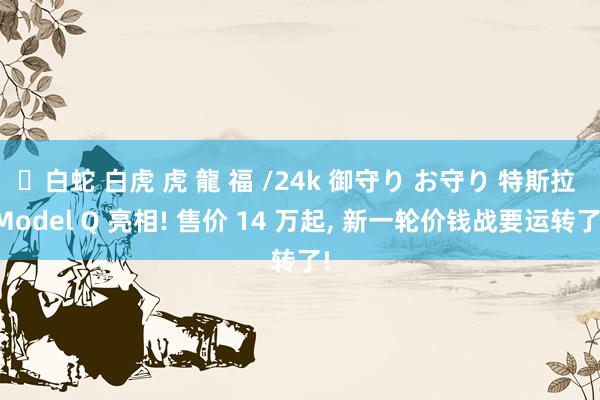 ✨白蛇 白虎 虎 龍 福 /24k 御守り お守り 特斯拉 Model Q 亮相! 售价 14 万起， 新一轮价钱战要运转了!