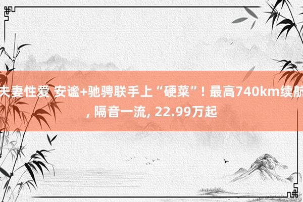 夫妻性爱 安谧+驰骋联手上“硬菜”! 最高740km续航， 隔音一流， 22.99万起