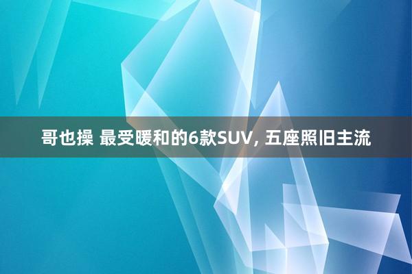 哥也操 最受暖和的6款SUV， 五座照旧主流