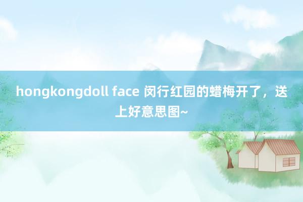 hongkongdoll face 闵行红园的蜡梅开了，送上好意思图~