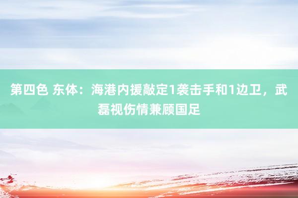 第四色 东体：海港内援敲定1袭击手和1边卫，武磊视伤情兼顾国足