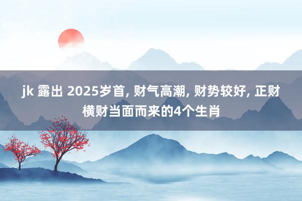 jk 露出 2025岁首， 财气高潮， 财势较好， 正财横财当面而来的4个生肖