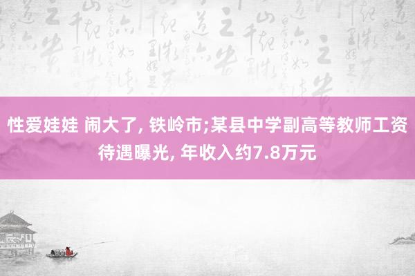 性爱娃娃 闹大了， 铁岭市;某县中学副高等教师工资待遇曝光， 年收入约7.8万元