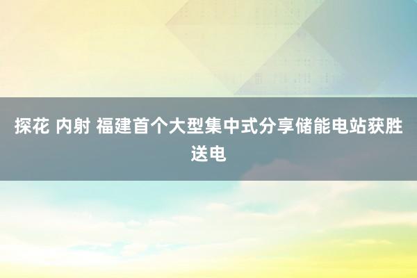 探花 内射 福建首个大型集中式分享储能电站获胜送电