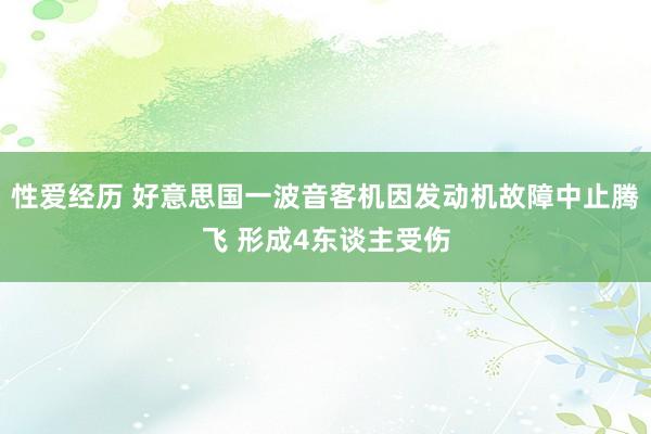 性爱经历 好意思国一波音客机因发动机故障中止腾飞 形成4东谈主受伤