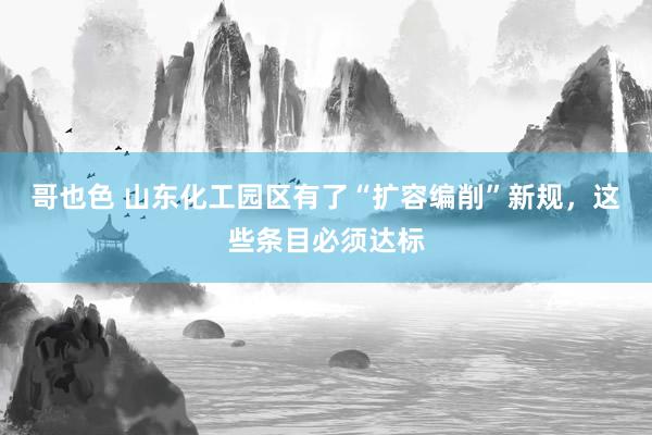 哥也色 山东化工园区有了“扩容编削”新规，这些条目必须达标