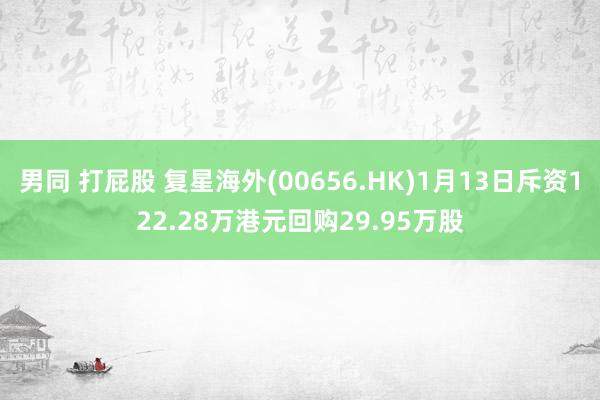 男同 打屁股 复星海外(00656.HK)1月13日斥资122.28万港元回购29.95万股