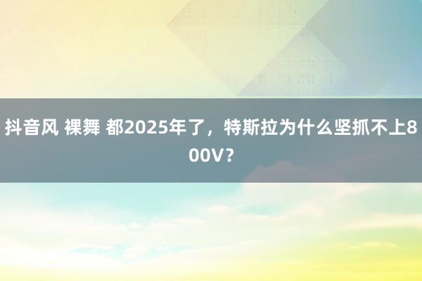 抖音风 裸舞 都2025年了，特斯拉为什么坚抓不上800V？