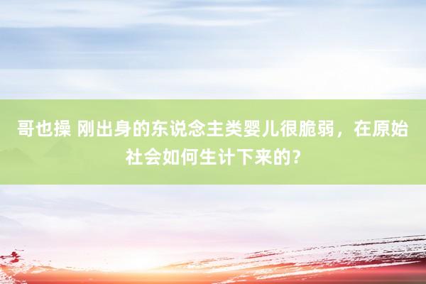 哥也操 刚出身的东说念主类婴儿很脆弱，在原始社会如何生计下来的？