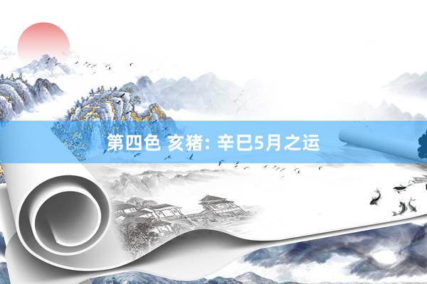 第四色 亥猪: 辛巳5月之运